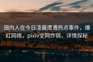 圈内人在今日凌晨遭遇热点事件，爆红网络，pixiv全网炸锅，详情探秘