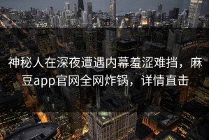 神秘人在深夜遭遇内幕羞涩难挡，麻豆app官网全网炸锅，详情直击