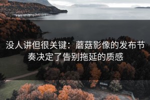 没人讲但很关键：蘑菇影像的发布节奏决定了告别拖延的质感