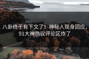 八卦终于有下文了！神秘人现身回应，91大神热议评论区炸了