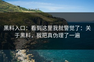 黑料入口：看到这里我就警觉了：关于黑料，我把真伪理了一遍