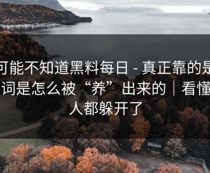 你可能不知道黑料每日 - 真正靠的是关键词是怎么被“养”出来的｜看懂的人都躲开了